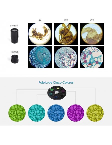 Microscopio Monocular 40x-1000x TuWord