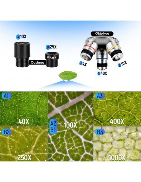 Microscopio Monocular 40x-1000x TuWord