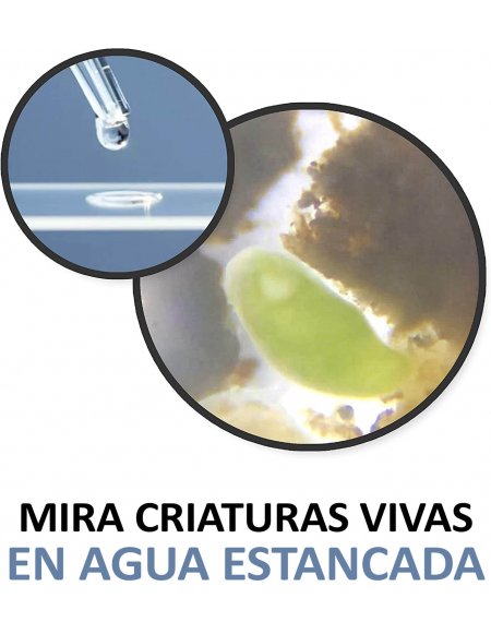 Microscopio Portátil Carson MicroFlip 100x-250x...
