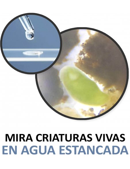 Microscopio Portátil Carson MicroFlip 100x-250x LED UV