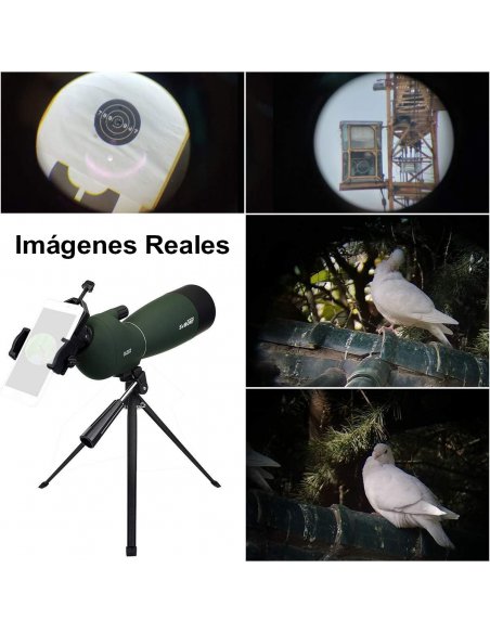 Telescopio Terrestre SV28 25-75X70