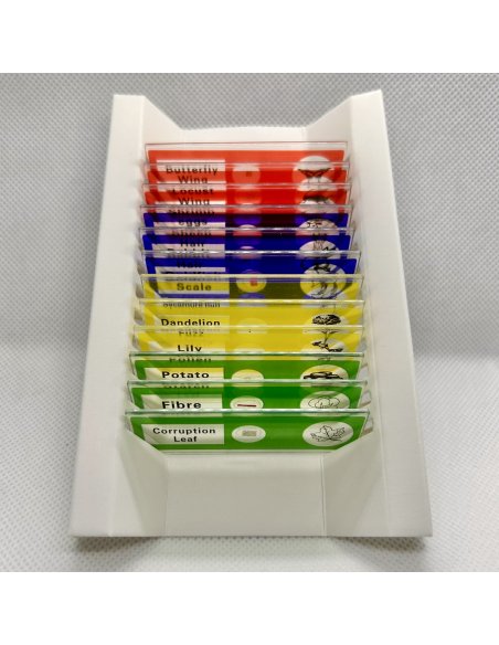 Muestras Biológicas Básicas Surtidas para Microscopio 12 piezas