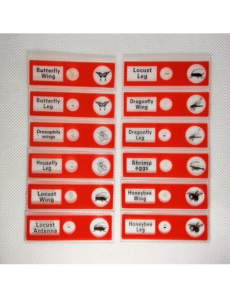 Kit de Muestras Biológicas Básicas para...