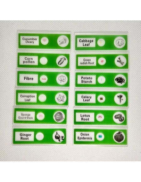 Kit de Muestras Biológicas Básicas para...