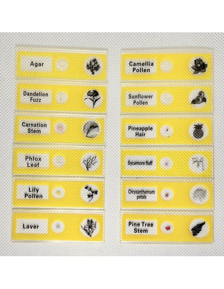 Kit de Muestras Biológicas Básicas para...