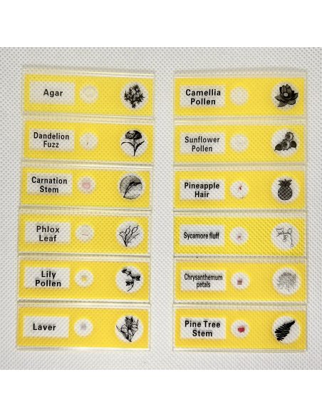 Kit de Muestras Biológicas Básicas para Microscopio 48 piezas
