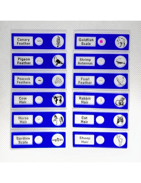 Kit de Muestras Biológicas Básicas para Microscopio 48 piezas