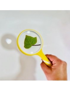 Lupa de 10x aumentos