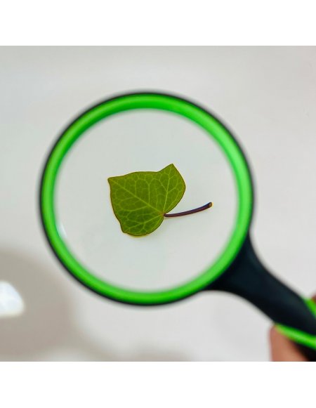 Lupa de 10x aumentos