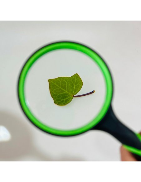 Lupa de 10x aumentos