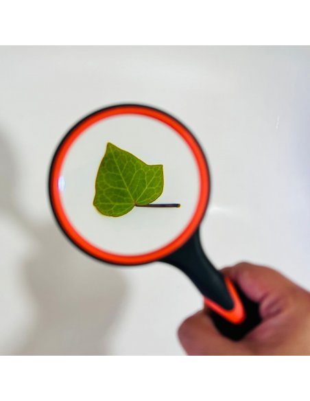 Lupa de 10x aumentos