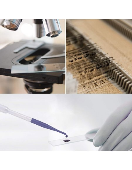 Láminas Portaobjetos