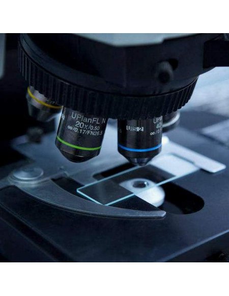 Láminas Portaobjetos