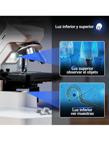Microscopio TOMLOV DM301 Max – Pantalla de 7″