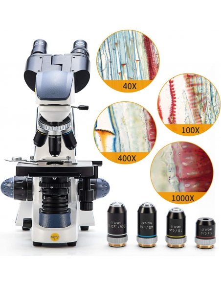 Microscopio Binocular Compuesto Swift SW380B