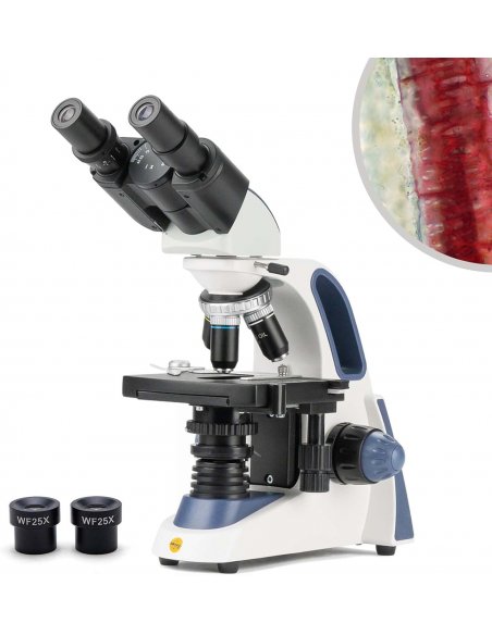 Microscopio Binocular Compuesto Swift SW380B