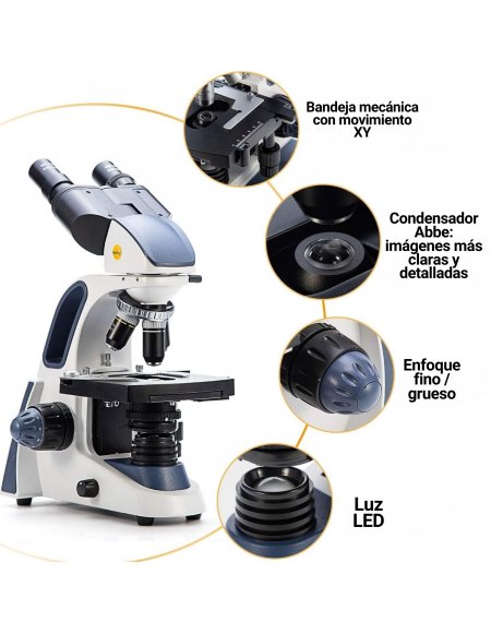 Microscopio Binocular Compuesto Swift SW380B