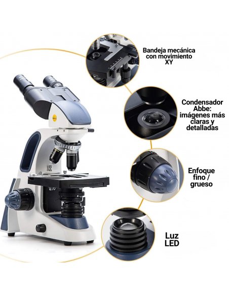 Microscopio Binocular Compuesto Swift SW380B